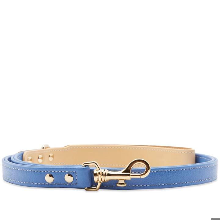 Photo: Sporty & Rich Grained Leather Dog Leash in Ocean