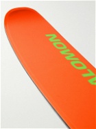 ERL - Salomon Printed Wood Skis