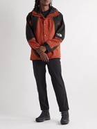 The North Face - 1994 Retro Mountain Light FUTURELIGHT Hooded Jacket - Red