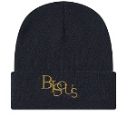 Bisous Skateboards Bisous Beanie in Navy