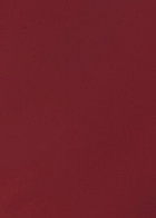 Estée Lauder Pure Colour Melt-on Glosstick - Melted Scarlet