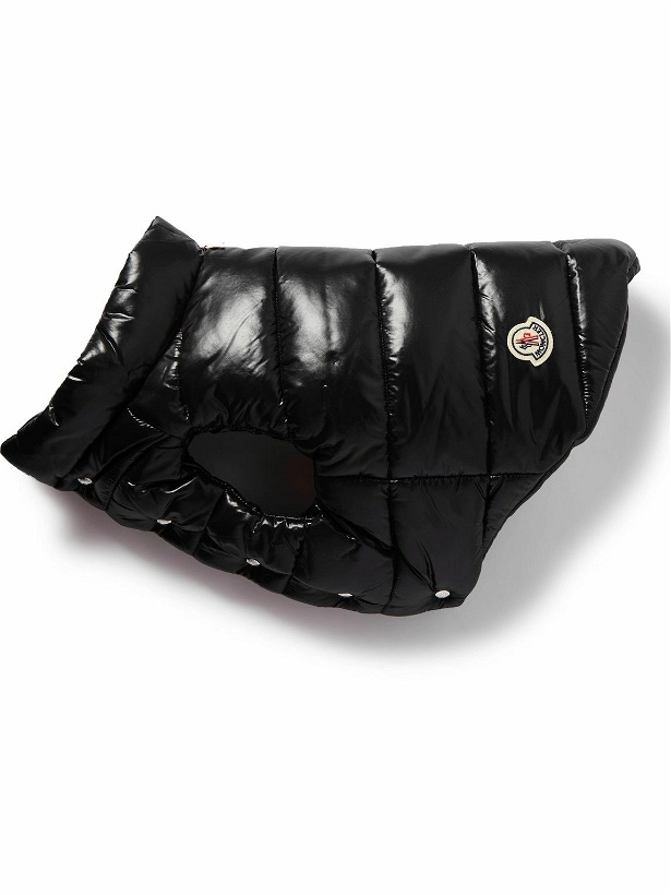 Photo: Moncler Genius - Poldo Dog Couture Logo-Appliquéd Quilted Padded Shell Dog Gilet - Black