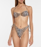 Reina Olga Penny leopard-print bikini bottoms