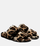 Dolce&Gabbana Leopard-print shearling slides