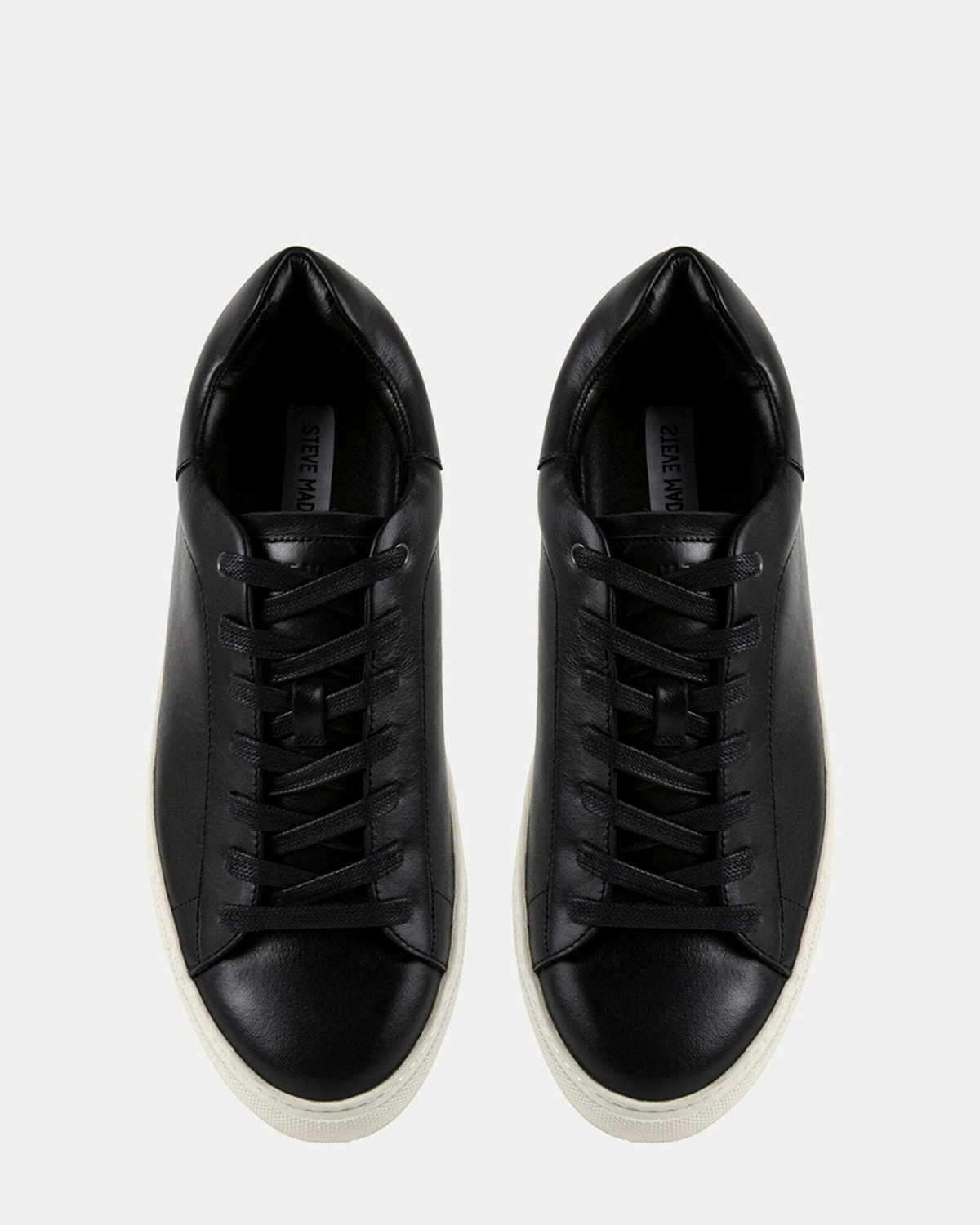 Steve Madden Fogarty Sneakers in Black