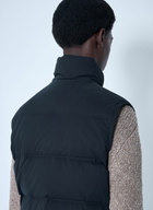 The Row Gettler Reversible Down Vest