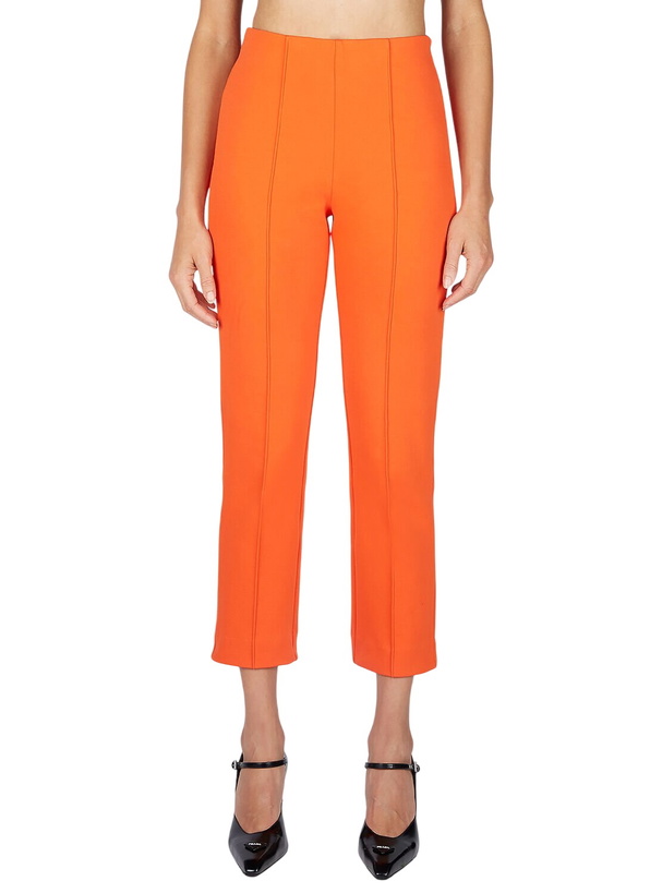 Photo: Sportmax Felix Pants