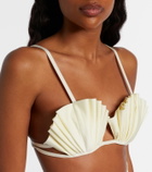 Adriana Degreas Seashell bikini