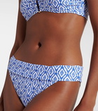 Heidi Klein Sardinia printed bikini bottoms