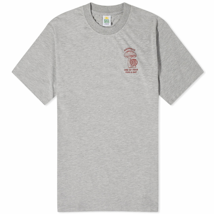 Photo: Hikerdelic Men's 5 a Day T-Shirt in Grey Marl