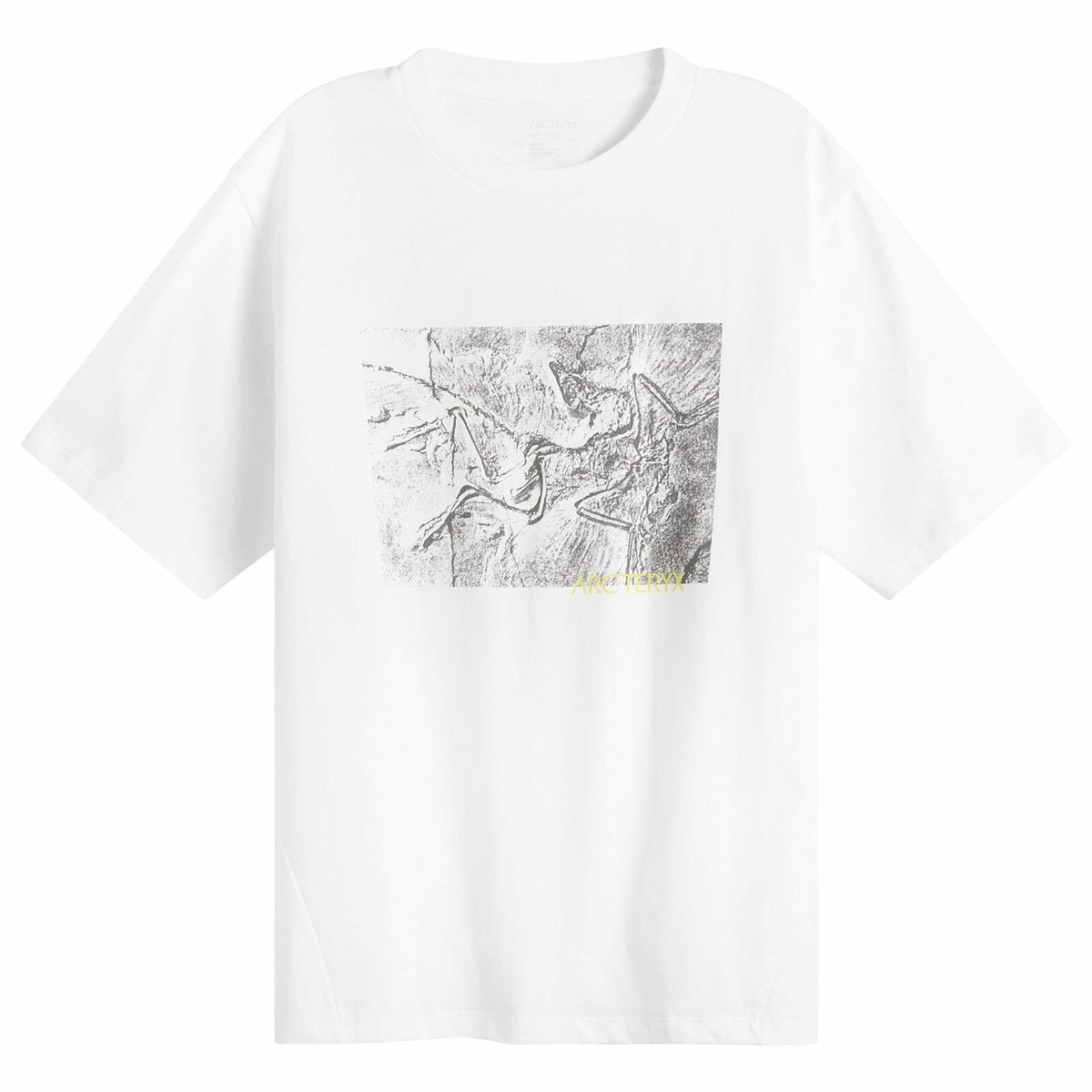 Arc'teryx Men's Kragg Cotton Lithographica T-Shirt in White Light