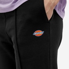 Dickies Women's Mapleton Sweat Pants in Black