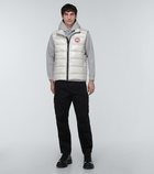 Canada Goose - Crofton vest