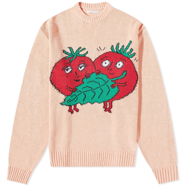 Photo: Sky High Farm Men's Tomatoes Intarsia Knit in Light Pink