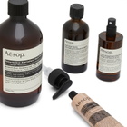 Aesop Screen 1 Elaborate Home Offering Set in Multi 