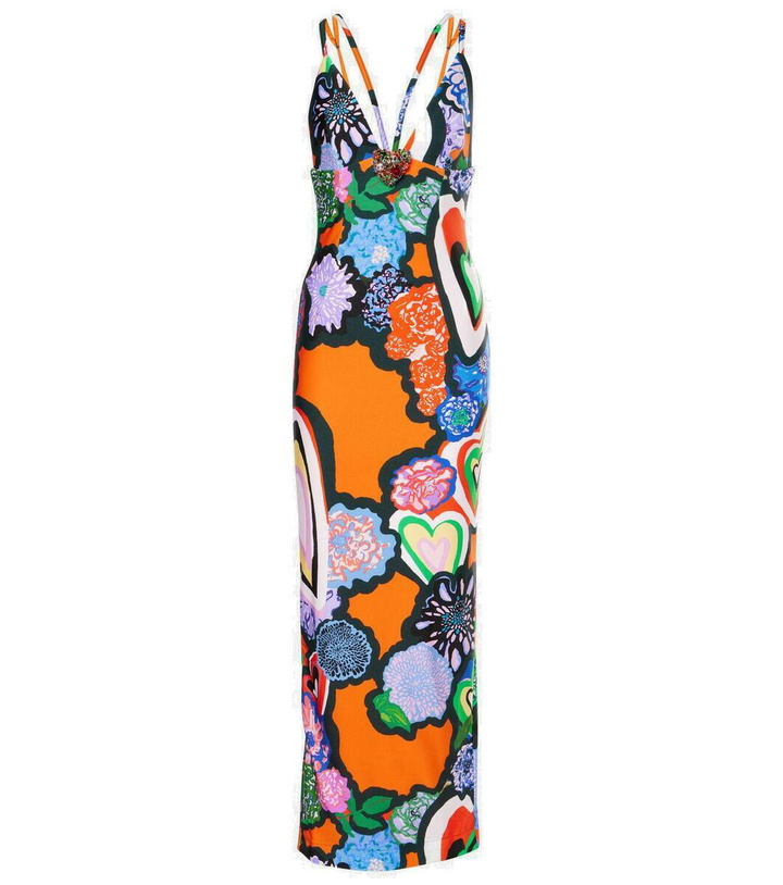 Photo: Area Printed maxi dress