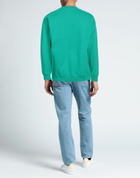 Rassvet Mens Sweatshirt in Green