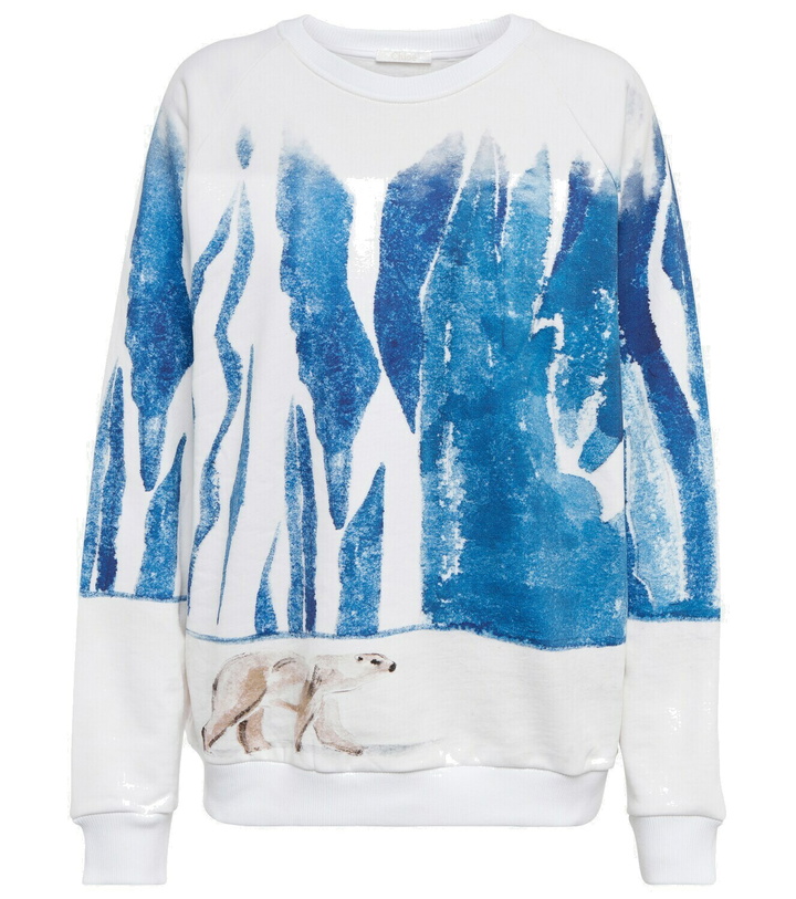 Photo: Chloe - Printed cotton jersey sweater