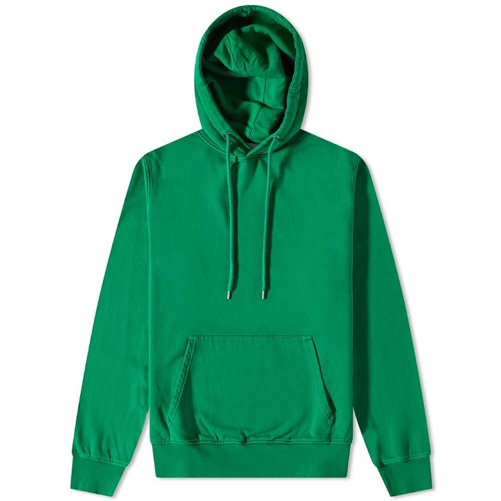Photo: Colorful Standard Classic Organic Hoody in Kelly Green