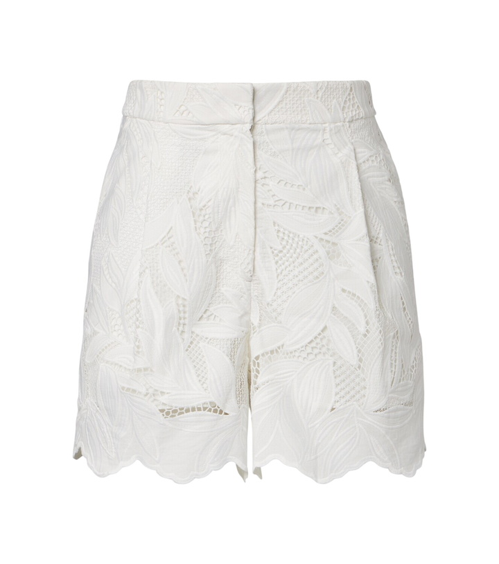 Photo: Erdem Embroidered mesh shorts