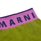 Marni Women's Logo Socks in Woodruff