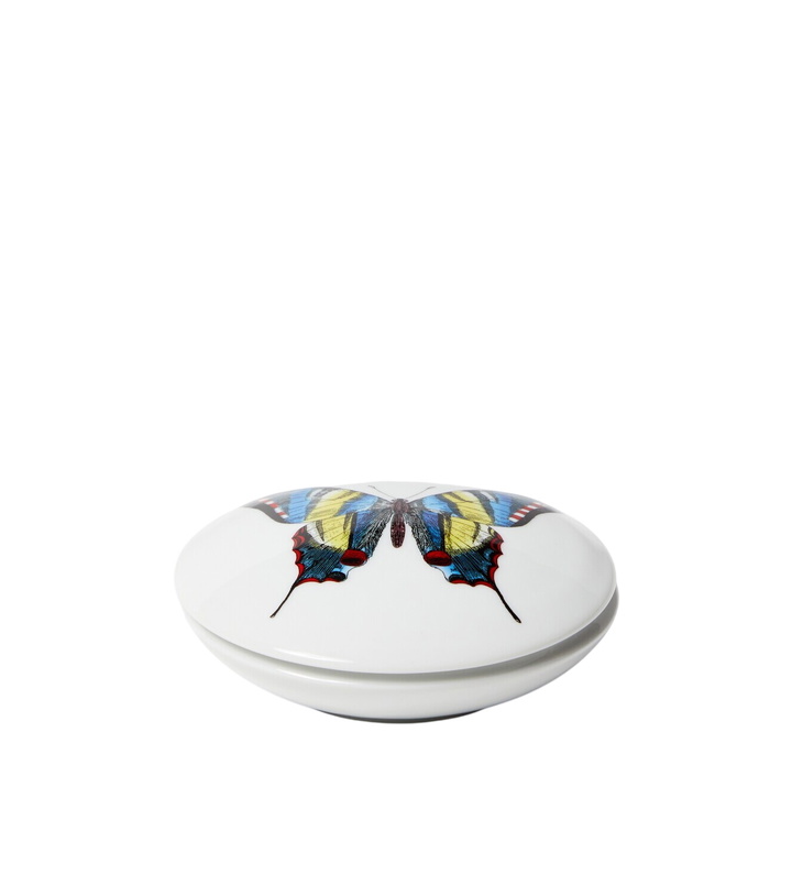Photo: Fornasetti Farfalle porcelain container