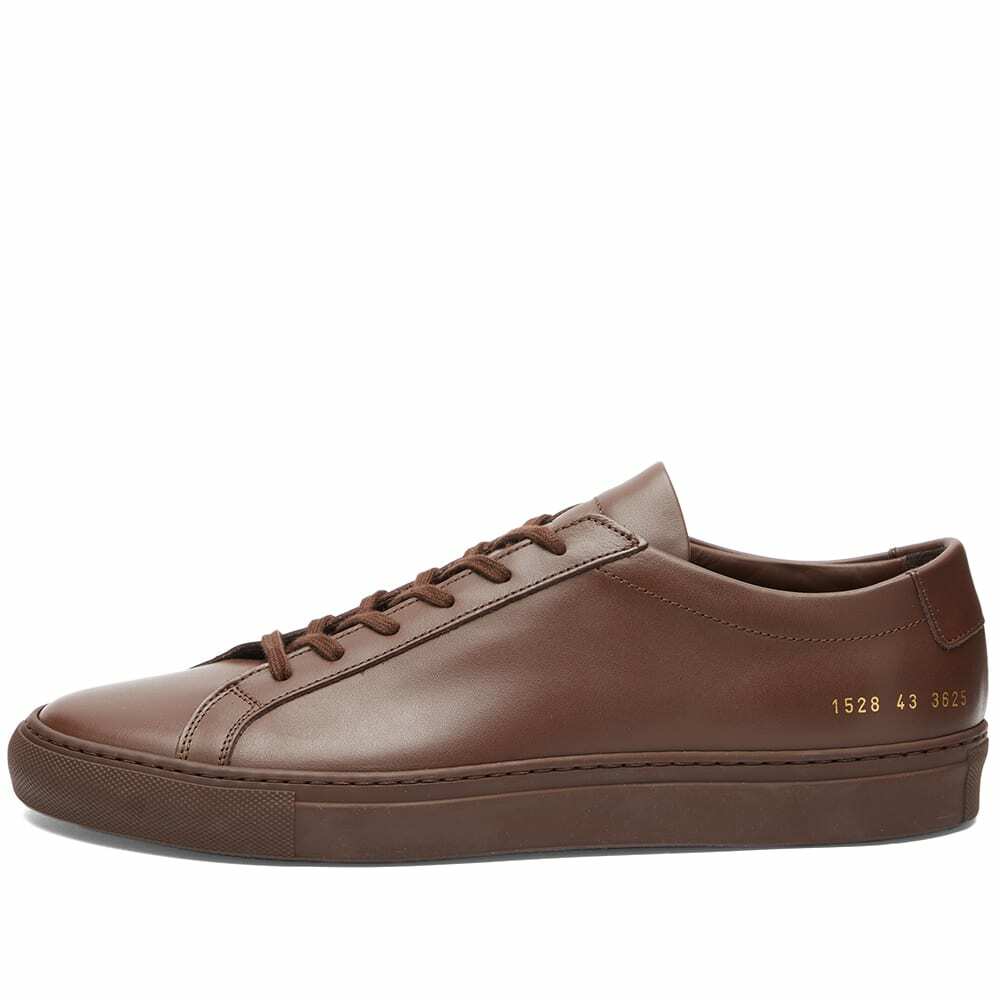 Common projects achilles low sales premium