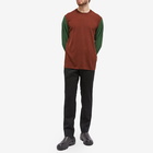 Comme des Garçons Homme Plus Men's Contrast Sleeves Crew Knit in Brown/Dark Green