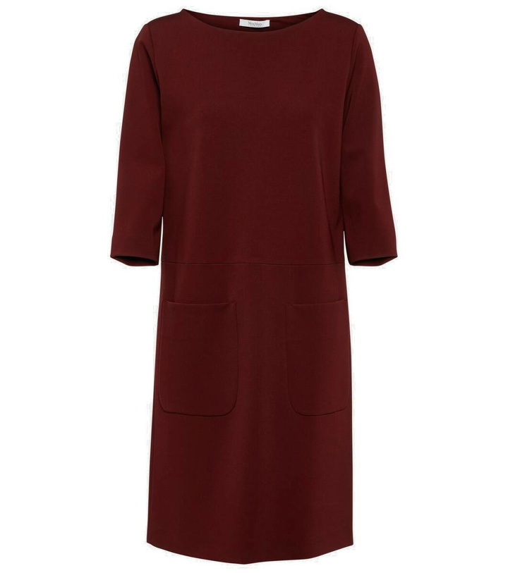 Photo: Max Mara Nettare jersey minidress