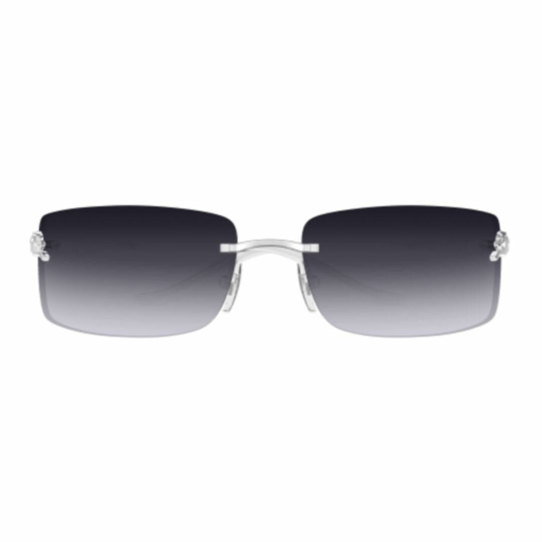 Cartier Eyewear Ct0503s-002 Silver-silver-grey