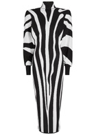 Balmain Zebra-jacquard Knit Midi Dress Multi Animal