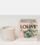 Loewe Home Scents Oregano Small scented candle