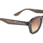 AKILA Logos Sunglasses in Umber/Amber 