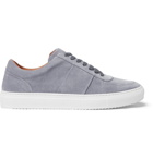 Mr P. - Larry Suede Sneakers - Gray