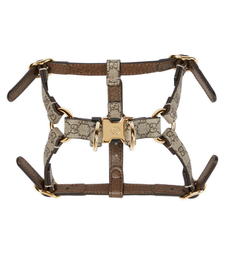 Photo: Gucci - GG Supreme XS faux leather dog harness