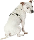 See Scout Sleep Beige & Black Small Nice Grill Standard Harness