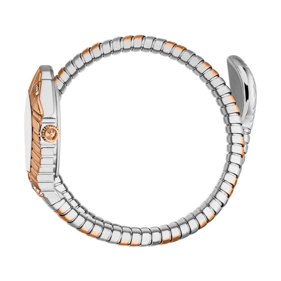 Just Cavalli Speranza Silver-tone Dial Ladies Watch JC1L356M0065