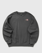 The North Face EXPEDITION CELEBRATION OVRSZD CREW SWS Grey Mens Sweatshirt