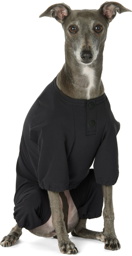 Snow Peak Black DWR Comfort Dog Jacket