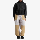 Nike ACG Wolf Tree Polartec Fleece Pant in Grey/Beige/White