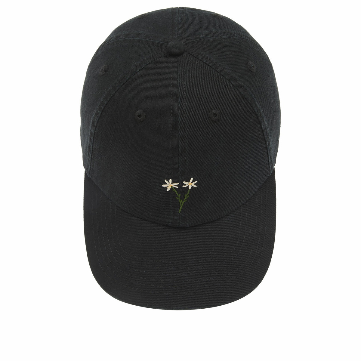 Foret Men's Posy Washed Cap in Black 