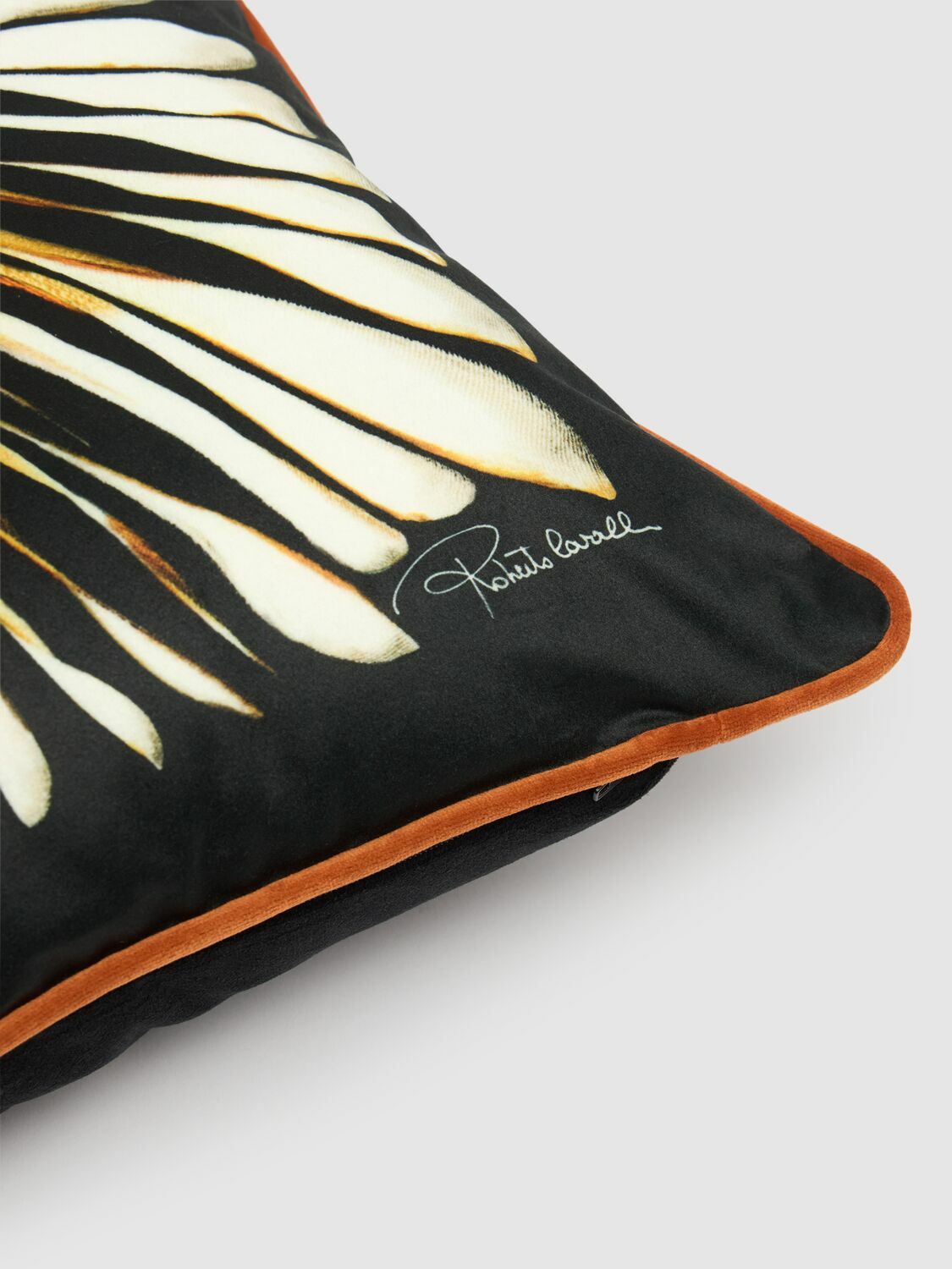 ROBERTO CAVALLI Ray Of Gold Velvet Cushion
