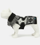 Alanui - x Poldo Dog Couture Icon dog sweater