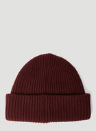 James Beanie Hat in Burgundy