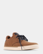 Steve Madden Penta Sneakers in Camel