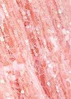Roberta Einer Anita Embellished Floral-lace Maxi Dress Pink