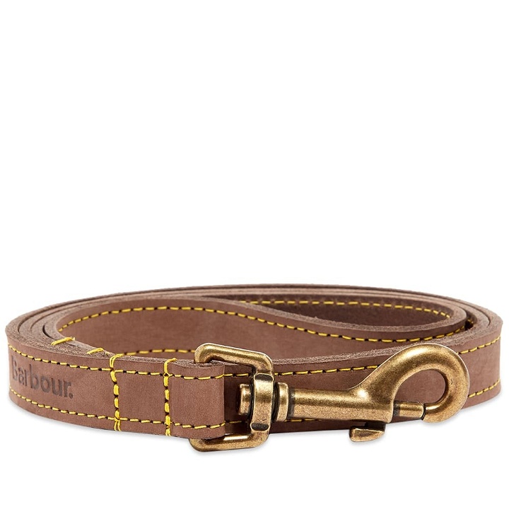 Photo: Barbour Men's Leather Dog Lead in Brown