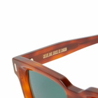 Cutler and Gross 1386 Sunglasses in Honey Turtle 