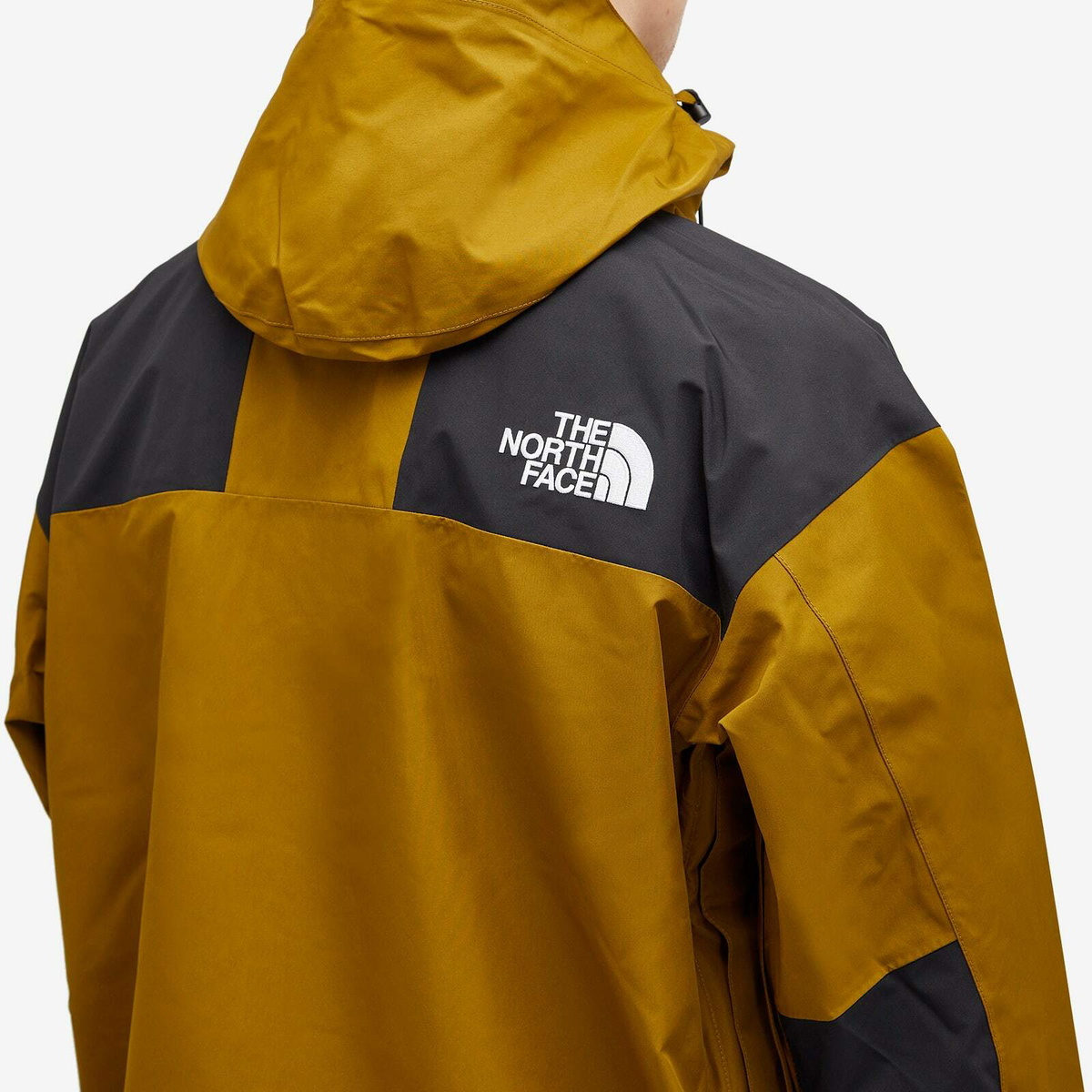 The North Face Men's Gore-Tex Mountain Jacket in Moss Green