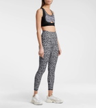 Adam Selman Sport French Cut leopard-print leggings